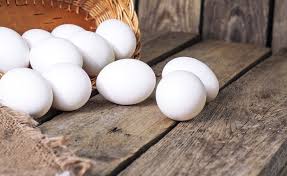 Leghorn